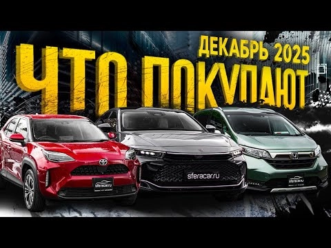 Успели до утильсбора: обзор стоянки, новые цены и что ждёт авторынок  | Sferacar стоянка